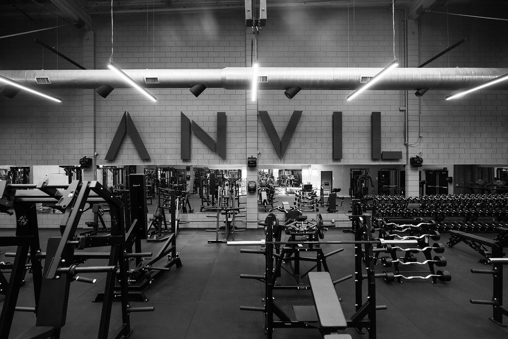 Rows of Arsenal Strength machines across The Anvil Gym floor