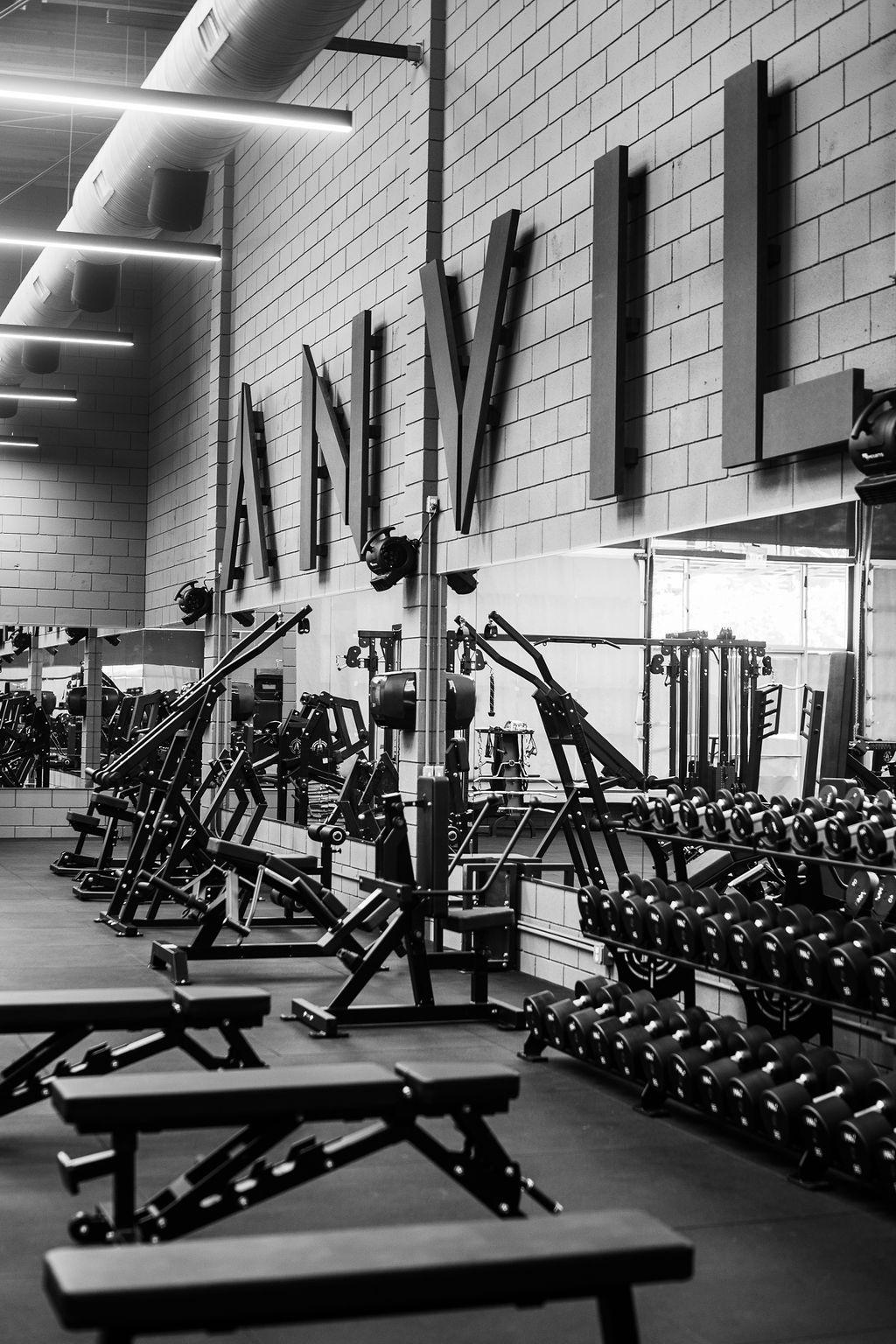 Angled view of the ANVIL wall sign above rows of dumbbells