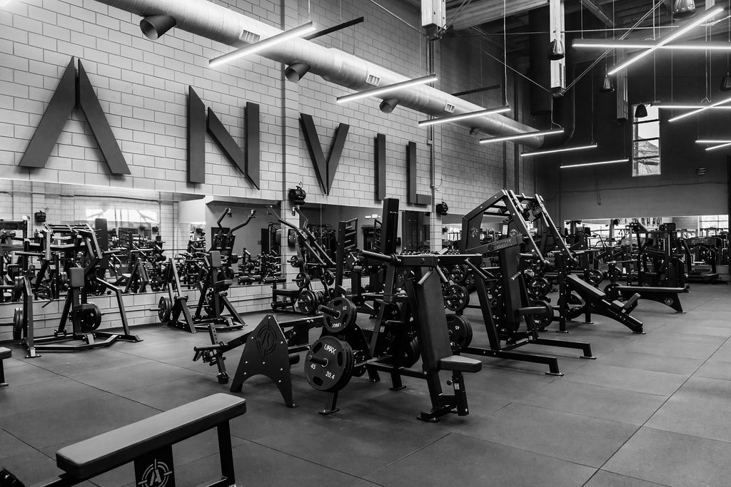 The ANVIL letters on the wall above plate-loaded machines and benches